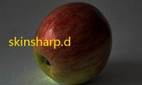 skinsharp.dll